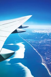 reise-cat-high-airplane